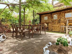 Villa Tamadaba Rural Home - Pet Friendly, Near Ocean, Ideal for Long Stays