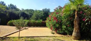 Villa provençale entre Cévennes et Provence avec une grande piscine et un terrain de pétanque