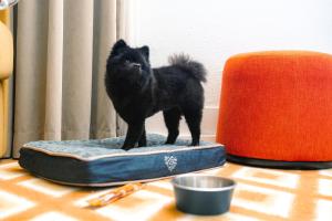 Hotels Big Sky Hotel & Spa : photos des chambres