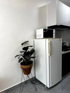 Hesos Suite Kileleshwa Nairobi Gym, Pool