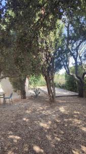 Maisons de vacances Chez Isa et Ray, un gite en Provence : photos des chambres