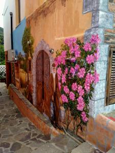 Sotza’s Little House img25