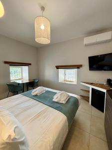 B&B / Chambres d'hotes La Maison des Vendangeurs - TABLE D'HOTES le soir du jeudi au dimanche- Jacuzzi - Balneo SPA - ACCES PISCINE pour toutes les chambres sauf STUDIO COQUET- Piscine de mai a mi-octobre : photos des chambres