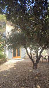 Chez Isa et Ray, un gîte en Provence
