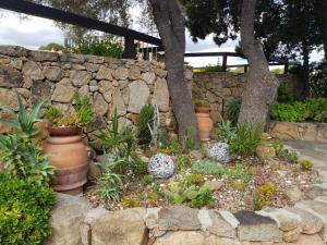 Rotondo Residence - Simar Vacanze img47