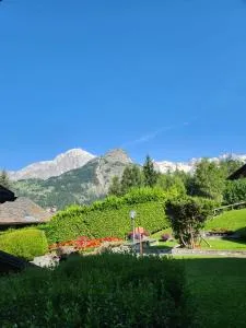 Charming Jonquille apt Cir 0080 - 韦朗