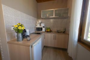 Appartements GEWURZTRAMINER - Studio au pied du vignoble - renove recemment - parking gratuit : photos des chambres