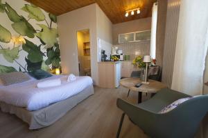 Appartements GEWURZTRAMINER - Studio au pied du vignoble - renove recemment - parking gratuit : photos des chambres