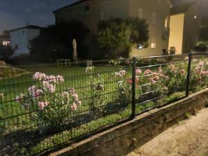 Ferienwohnung Adriaperle Villa Casper mit Whirlpool 