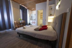 PINOT GRIS - Charmant studio au cœur du vignoble - parking gratuit