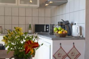 Appartements PINOT GRIS - Charmant studio au coeur du vignoble - parking gratuit : photos des chambres