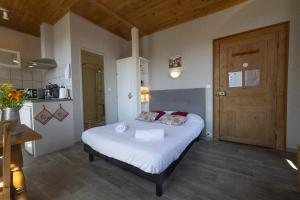 Appartements PINOT GRIS - Charmant studio au coeur du vignoble - parking gratuit : photos des chambres