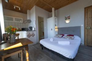 PINOT GRIS - Charmant studio au cœur du vignoble - parking gratuit - 3hvězdičkové hotely ve městě Riquewihr