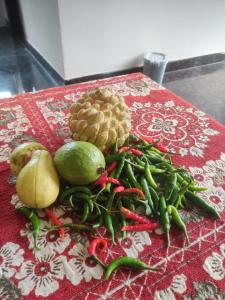 Siva Rama garden resort & swimming pool &net cricket 6 BHK near beach road bheemilli road