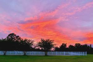 Visit the beach, stay at Serenity Farms