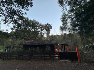 Aldea Alemm - Ubytování bez kategorie ve městě Coatepec