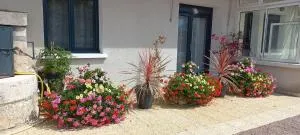 Gîte les Hortensias - 班内