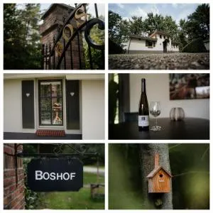 Boshof 8, parel op de Veluwe! - Ermelo