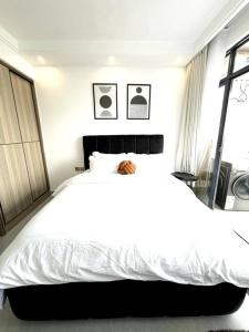 Studio with Nairobi skyline view