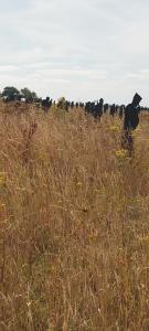 Maison à la campagne