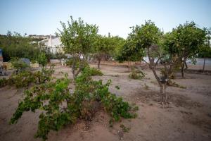 il Melograno Studios Pefkos Lindos