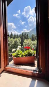 La casa del Cucù al Ravascletto, 900mt from cable car