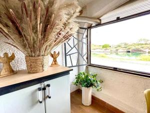 Appartements Perle du Rivage - Plage 50m, CLIM, Wifi, 2 pers : photos des chambres