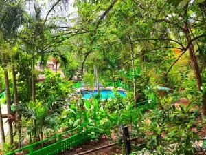 Maya Mountain Lodge - Augustine