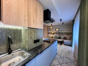 Pańska Polana APARTAMENTY - sala zabaw, duży ogród - Trybsz