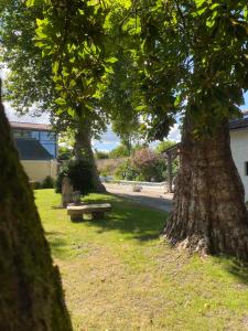 Maisons d'hotes La Maison Reverdi : photos des chambres