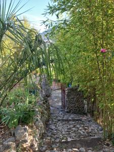 Villas Un coin d-Asie en Provence : photos des chambres