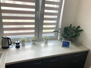 Apartament Łagiewniki