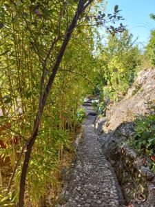 Villas Un coin d-Asie en Provence : photos des chambres