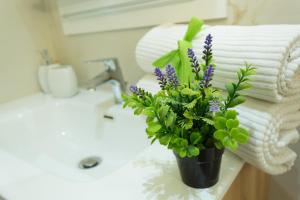 San Peter Dill House