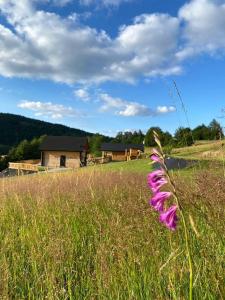 Rajski Zakątek - jeden domek na działce z gorącą balią i mini ZOO