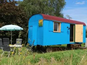 Löwenzahn-Lodge - Knüllwald