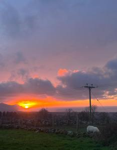 Hafod tŷ newydd wild camping