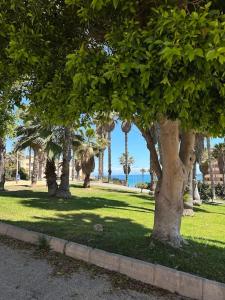 Bungalo in La Mata Playa