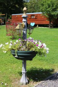 Lodges Les roulottes a Sandie : photos des chambres