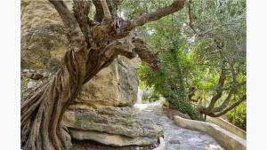 White River Cottages Lasithi Greece