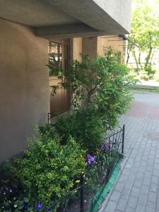 Apartament Nadmorski