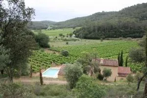Small vineyard in Provence - Cabasse
