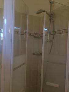 Small vineyard in Provence