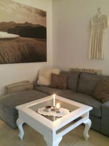 Small vineyard in Provence