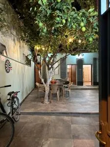 Tirana Lemon Breeze Hostel - Rinas