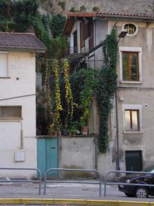Le Liseron Bleu photo 9