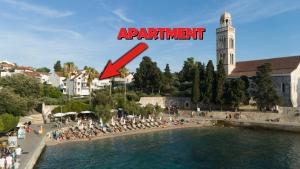 Palm beach apartments