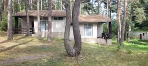 Siódma Wyspa - Mikorowo