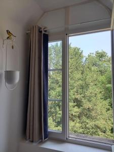 Les Vues de Lily - Dijon