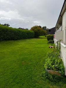 Sentralt hus i Stavanger ONS2024